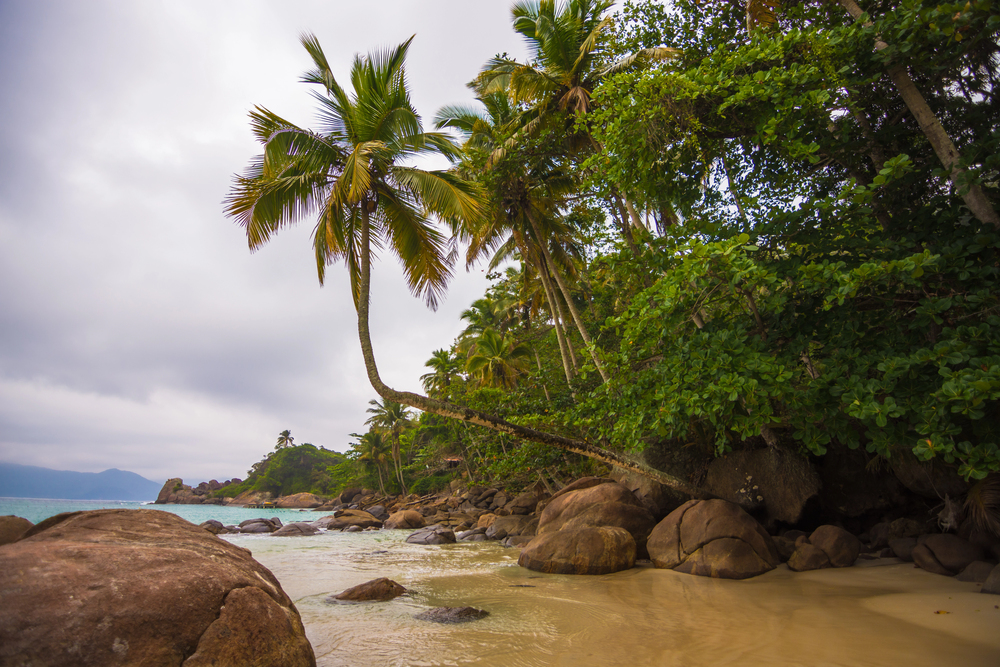 इलहा ग्रांडे से transfers